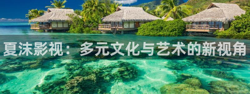 四库影院的地址：夏沫影视：多元文化与艺术的新视角